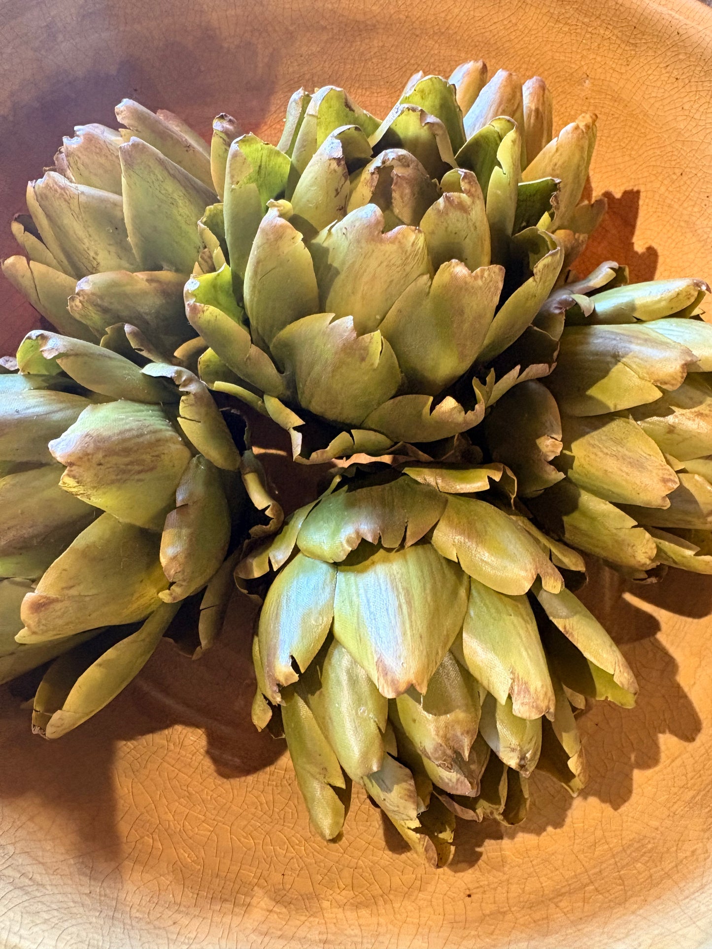 Green Artichoke Head