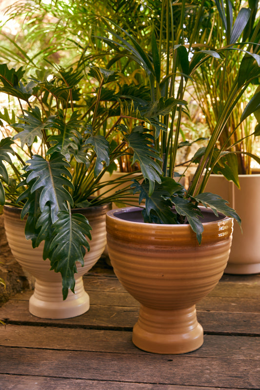 Stoneware Plant Pot (Vanilla) D36cm