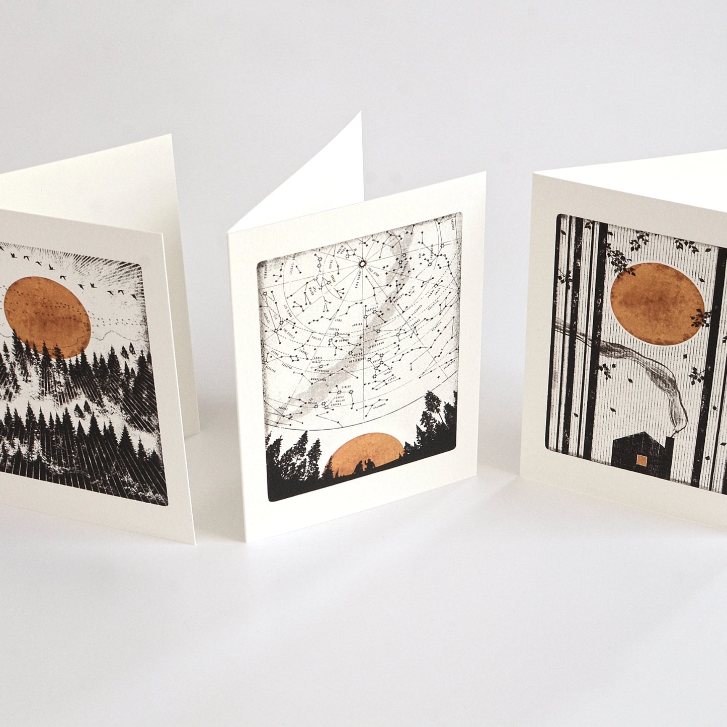Wilderness (Pack of 3) - Everyday Card