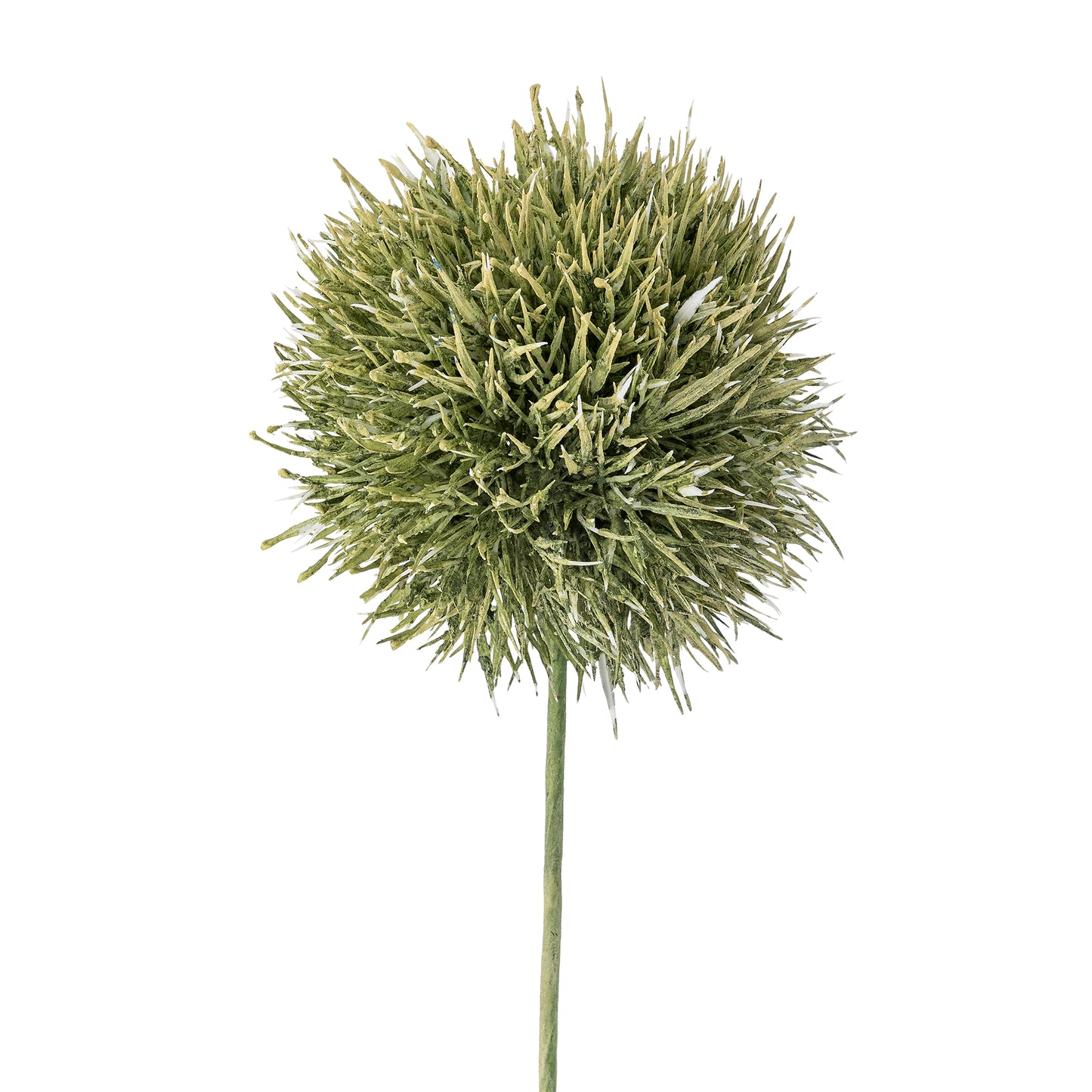 Allium Stem (D13cm head)