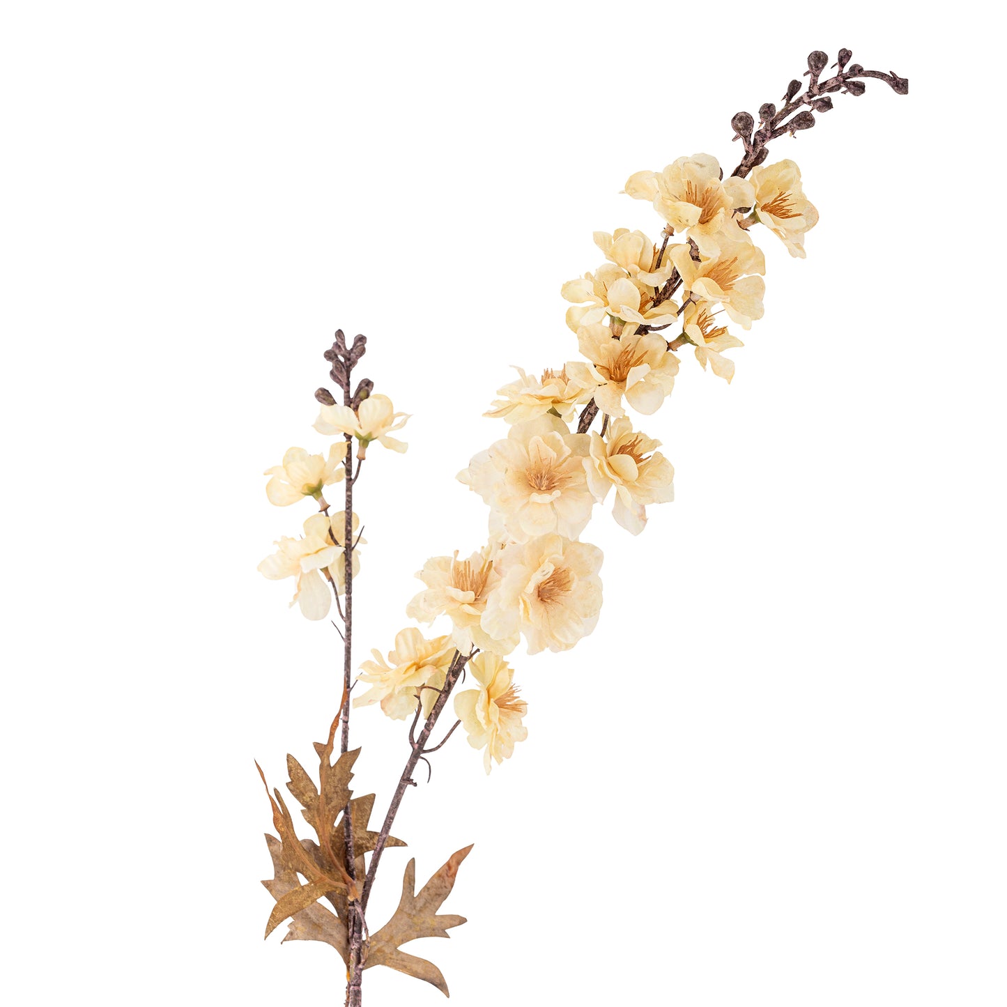 Larkspur Stem (Cream)
