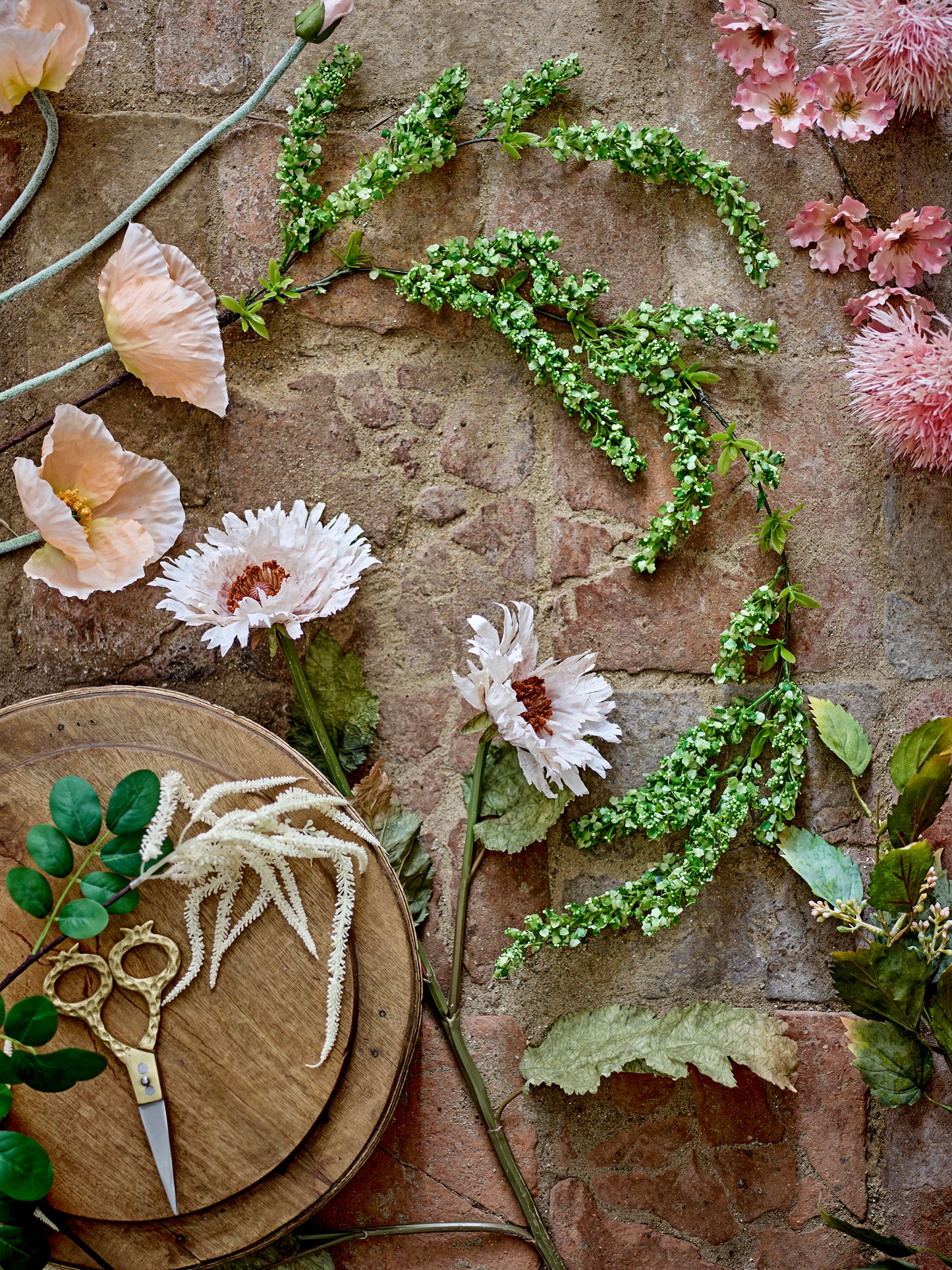 Chrysanthemum Stem in White
