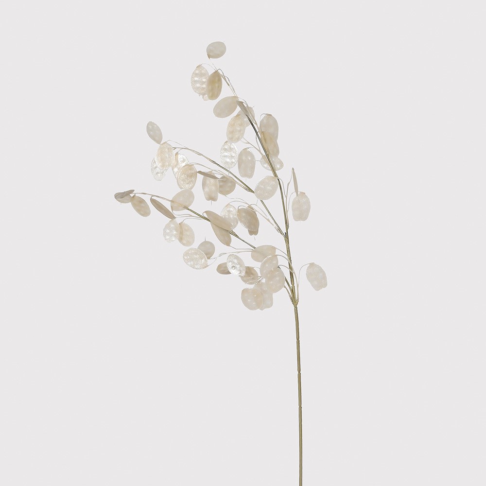 Clear Honesty Spray