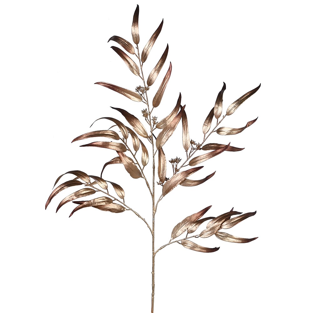 Gold Eucalyptus Stem