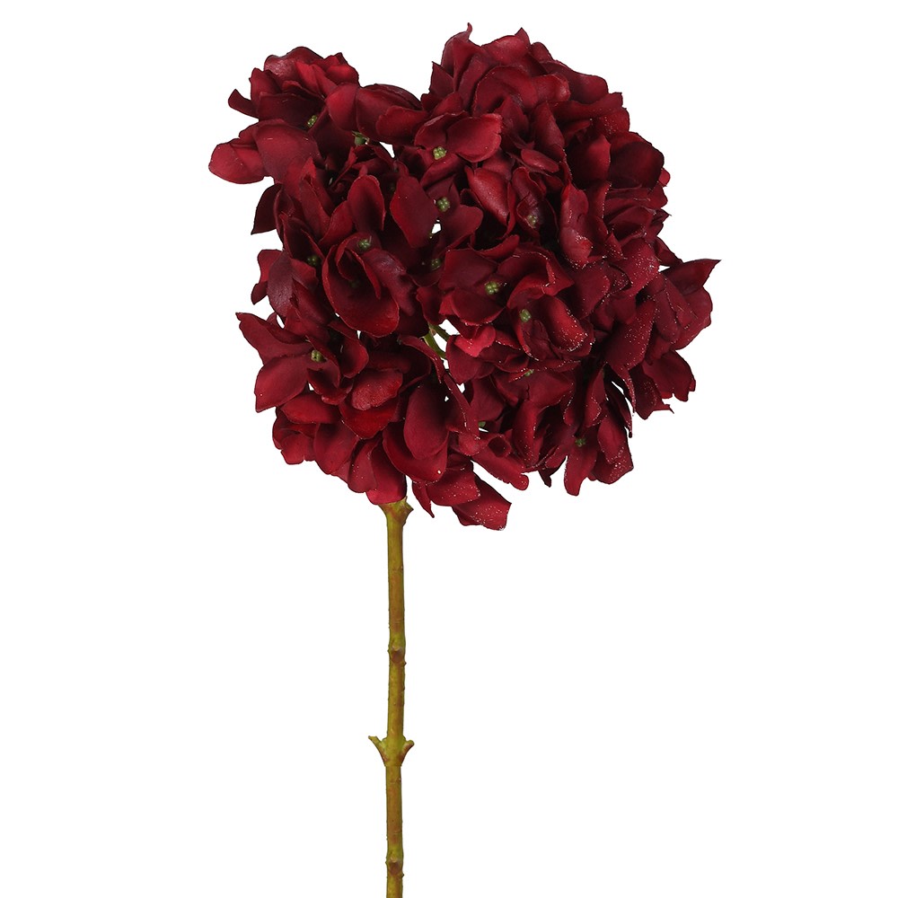 Hydrangea Stem in Claret