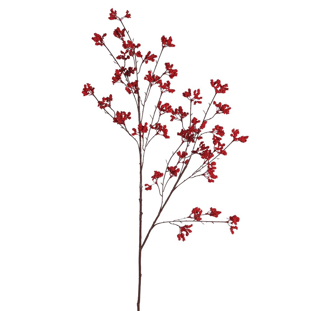 Bright Red Berry Stem