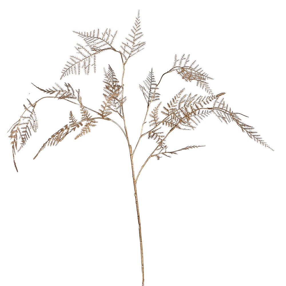 Gold Fern Stem