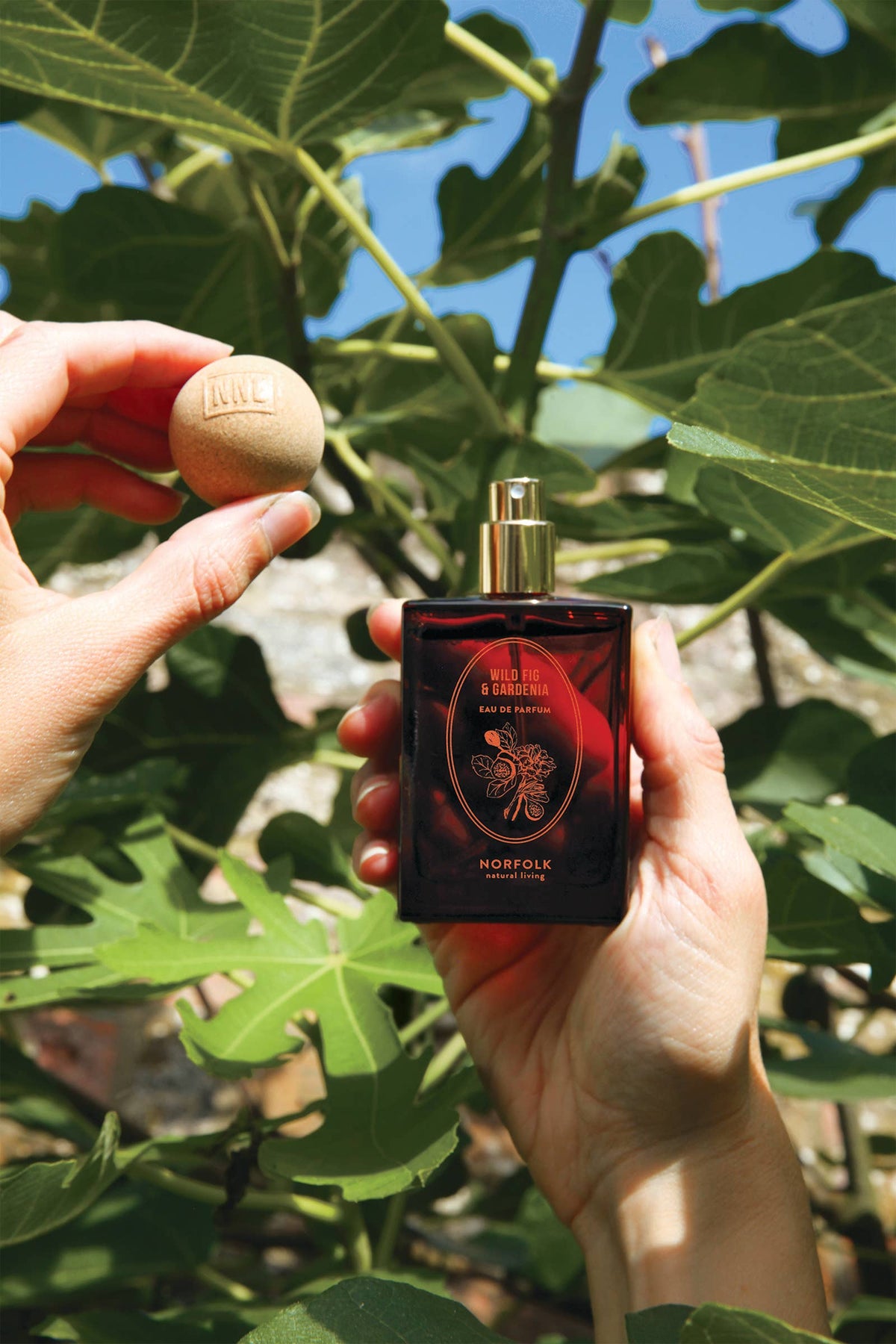 UK ONLY - Parfum - Wild Fig & Gardenia 50ml