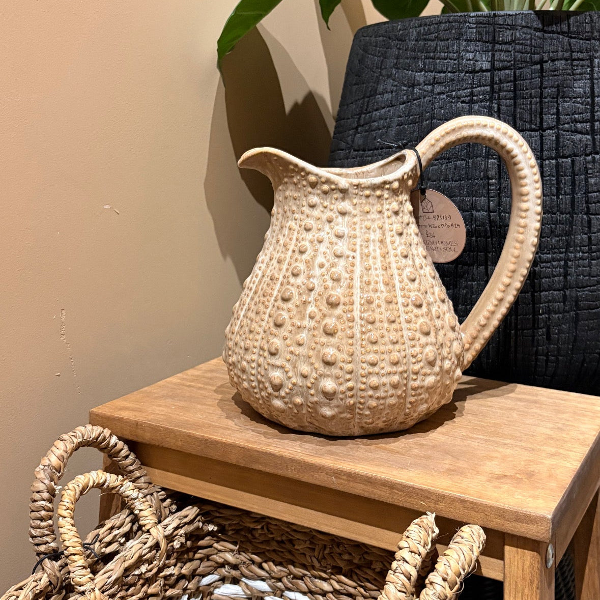 Urchin Jug