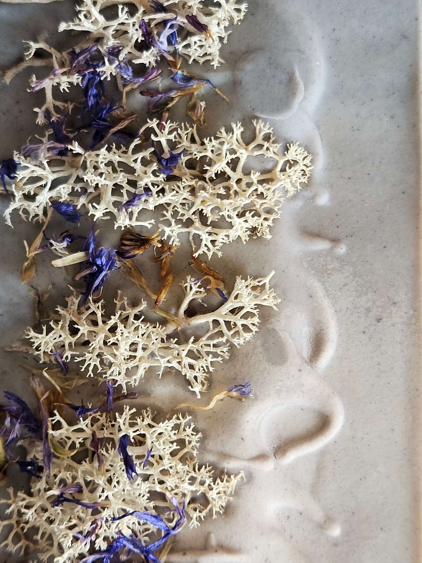 Moss Botanical Soap Bar | Bergamot & Patchouli  |  100g Bar