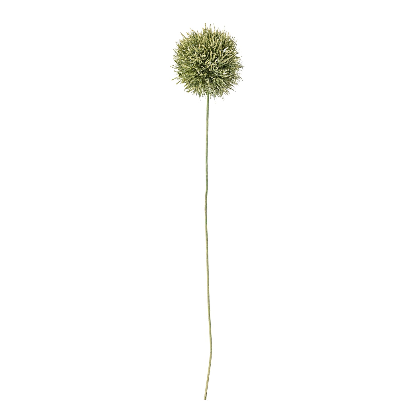 Allium Stem (D13cm head)