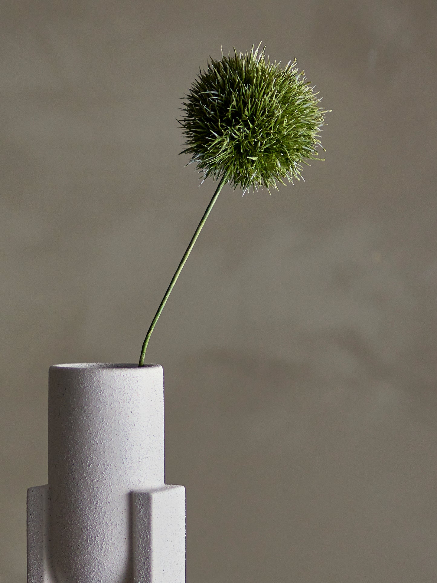 Allium Stem (D13cm head)
