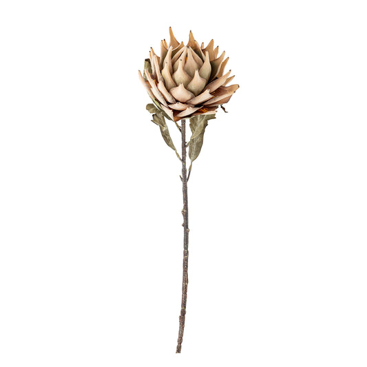 Protea Stem (D20cm head)