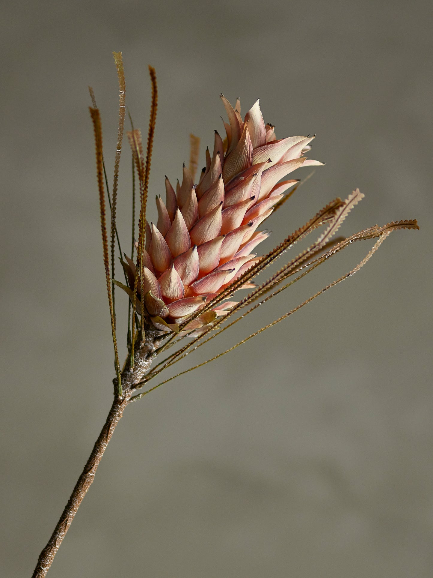 Palmflower Stem (D20cm head)