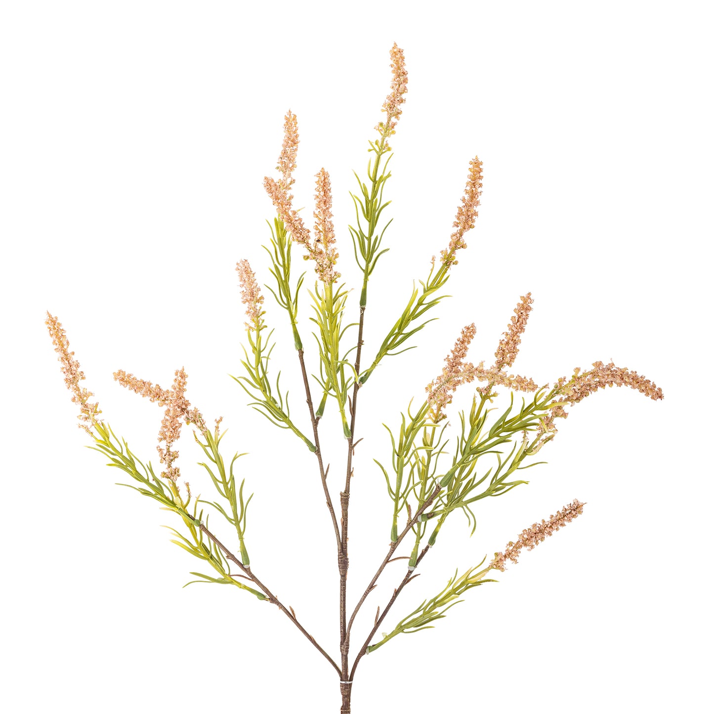 Foxtail Stem in Rose