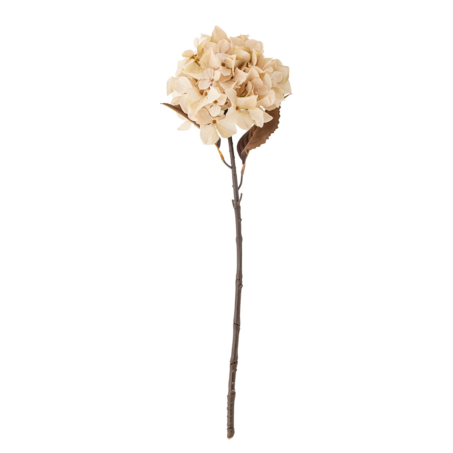 Hydrangea Stem (D20cm head)