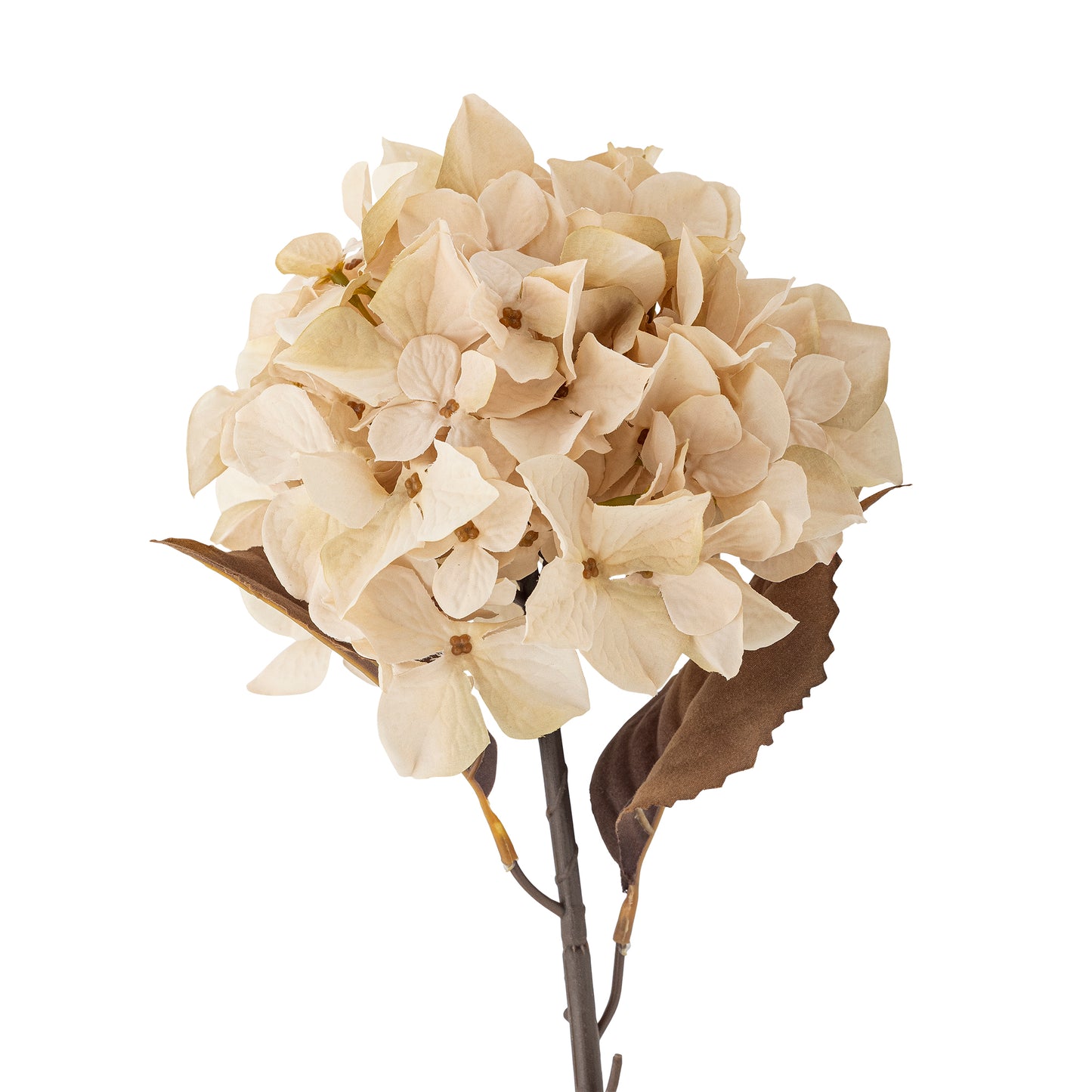 Hydrangea Stem (D20cm head)
