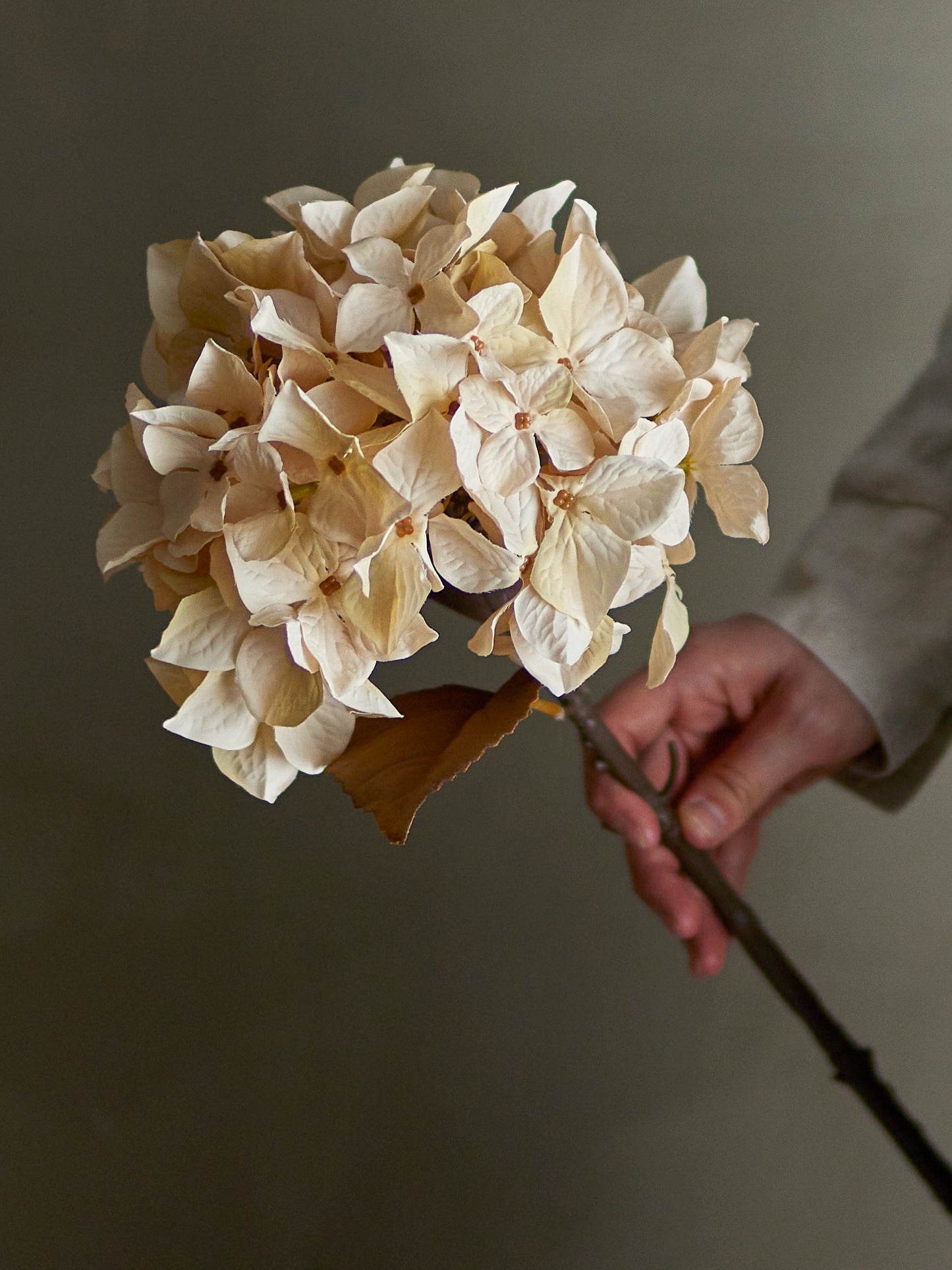 Hydrangea Stem (D20cm head)