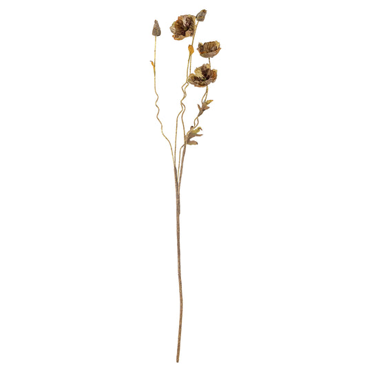 Poppy Stem (Brown)