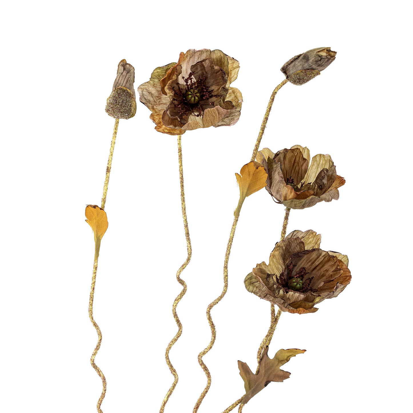 Poppy Stem (Brown)