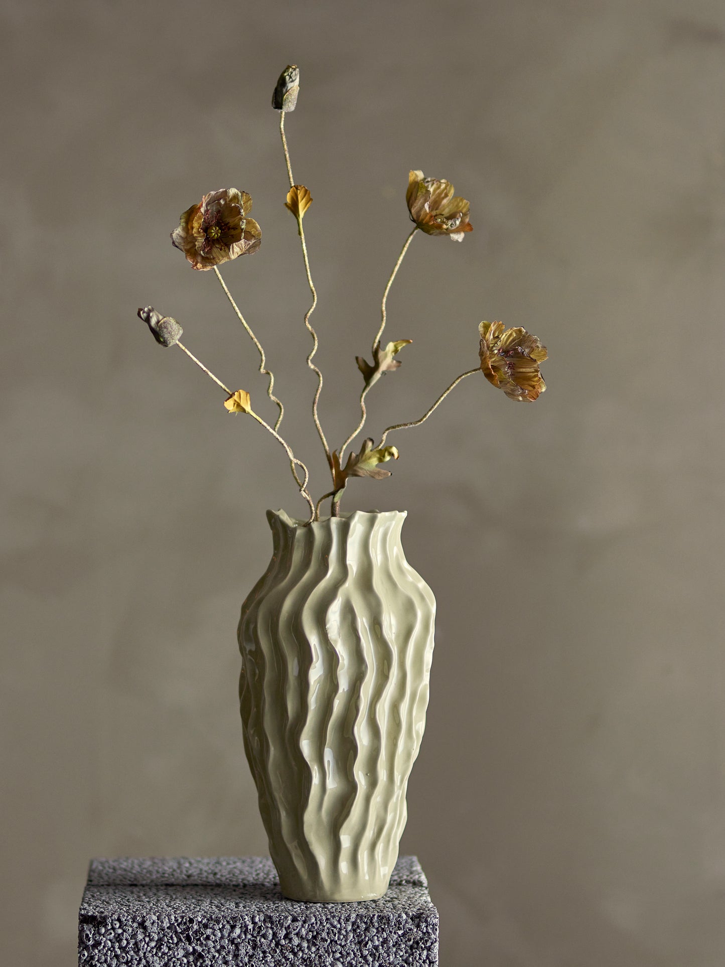 Poppy Stem (Brown)