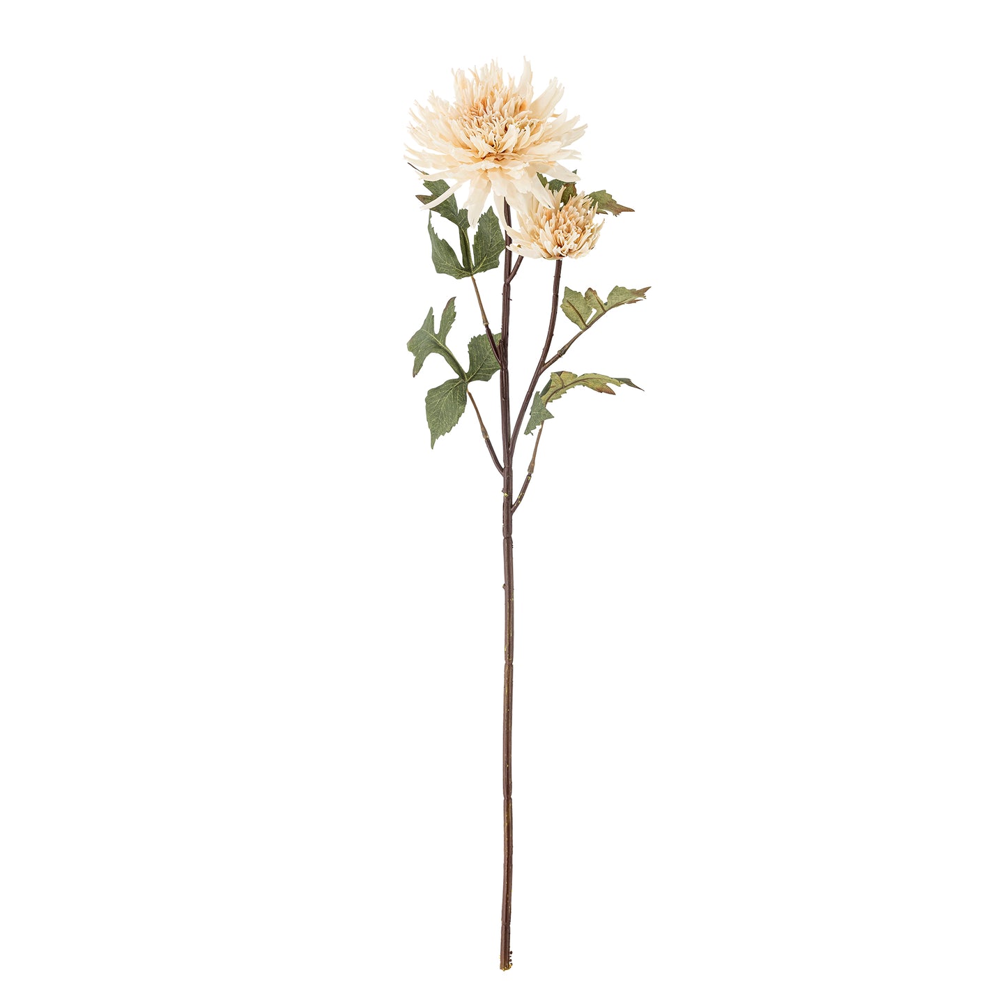 Chrysantemum Stem (D25cm head)