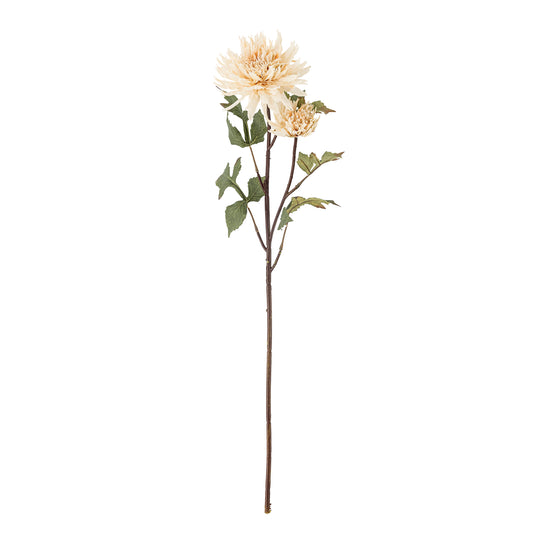 Chrysantemum Stem (D25cm head)