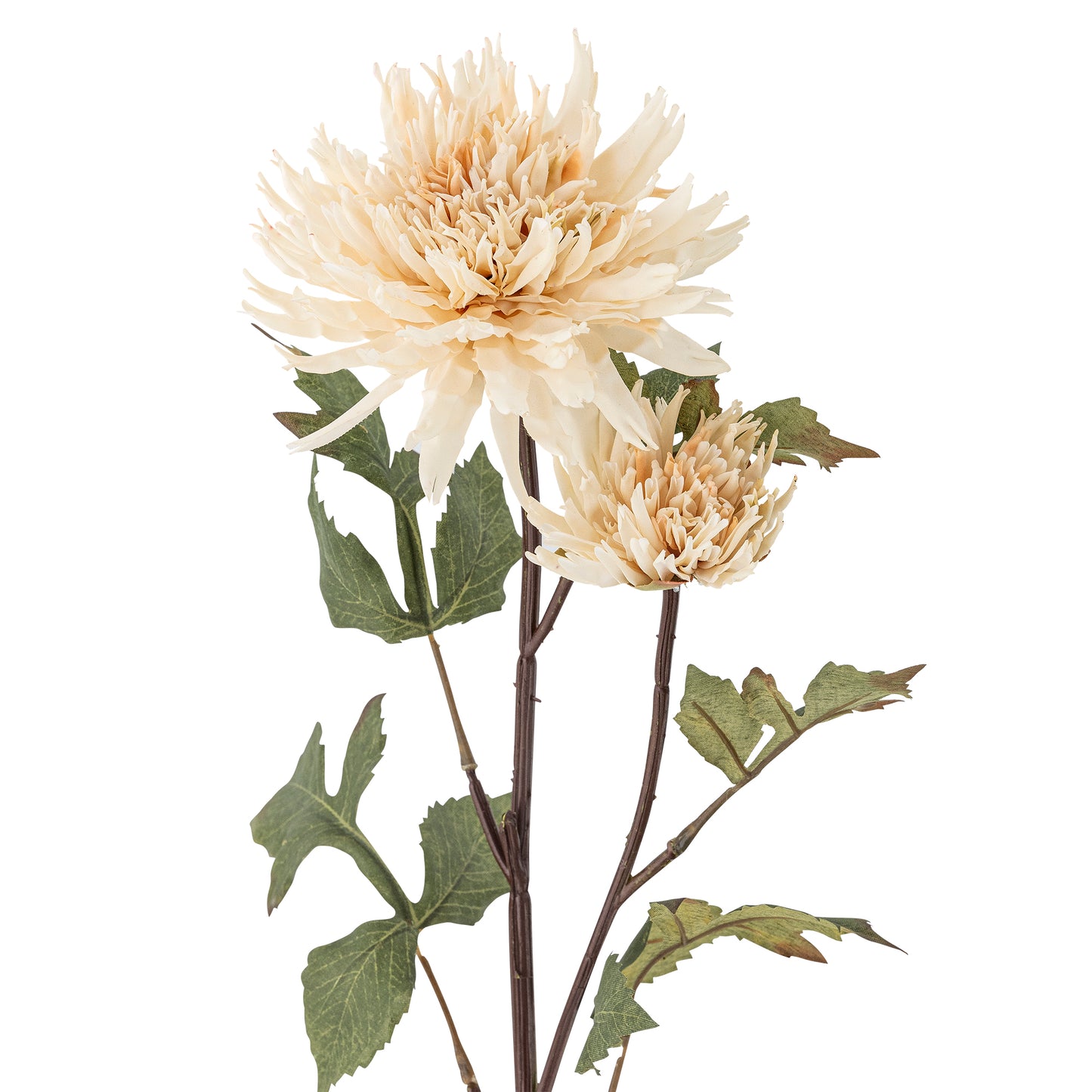 Chrysantemum Stem (D25cm head)
