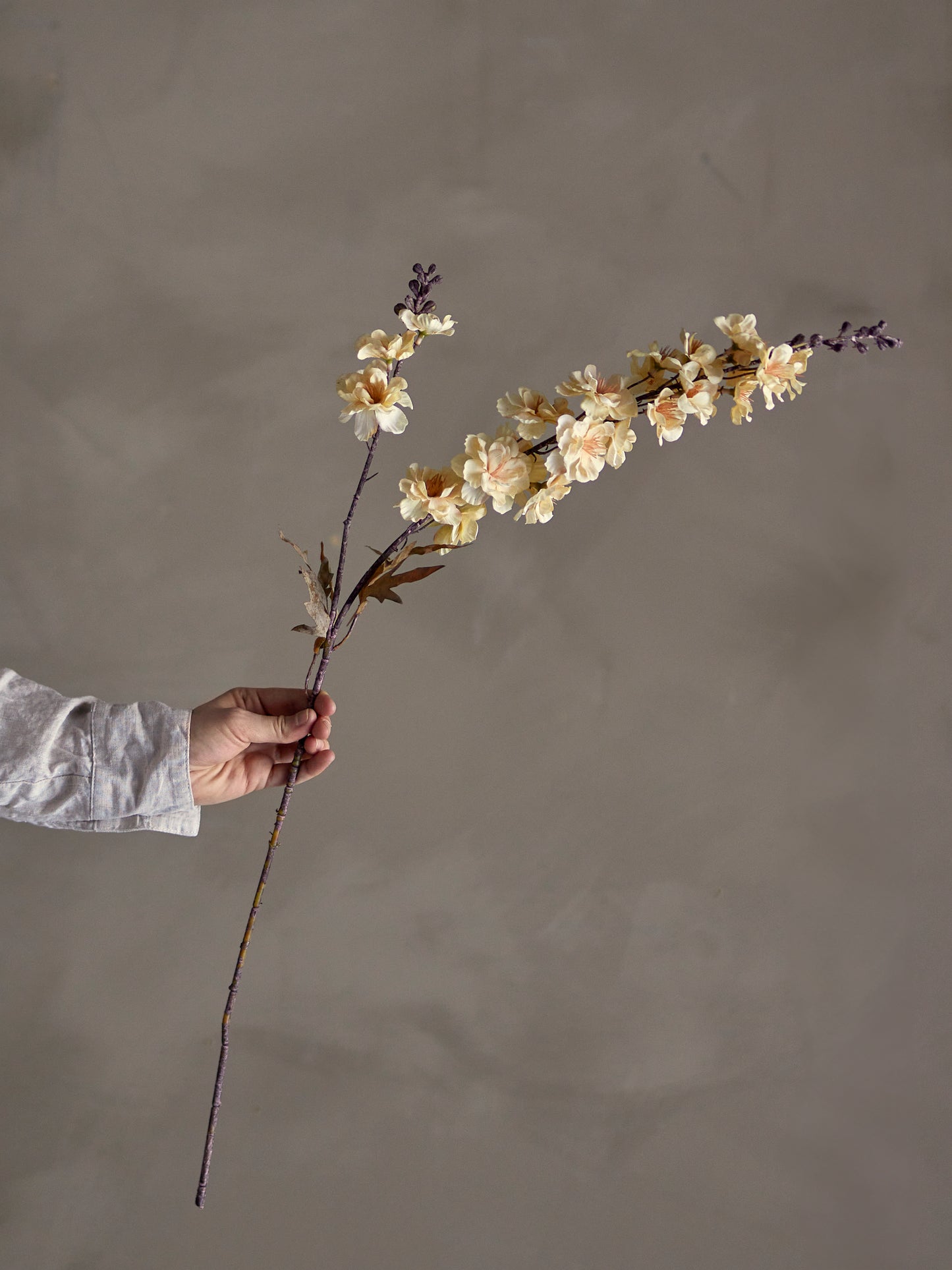Larkspur Stem (Cream)