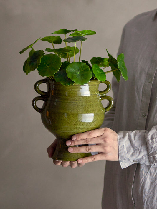 Chinese Money Plant (Faux)