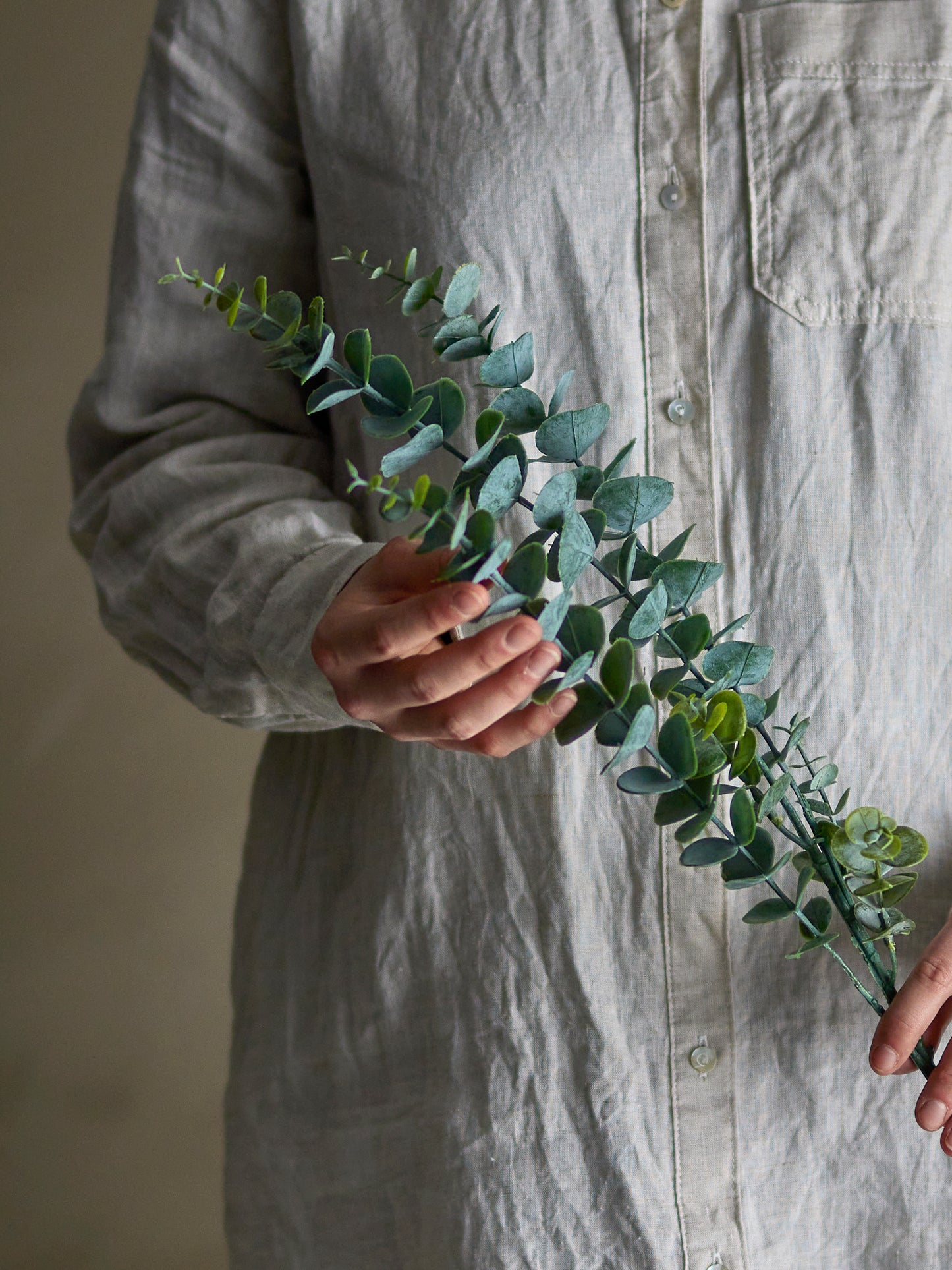 Eucalyptus Stem, Green
