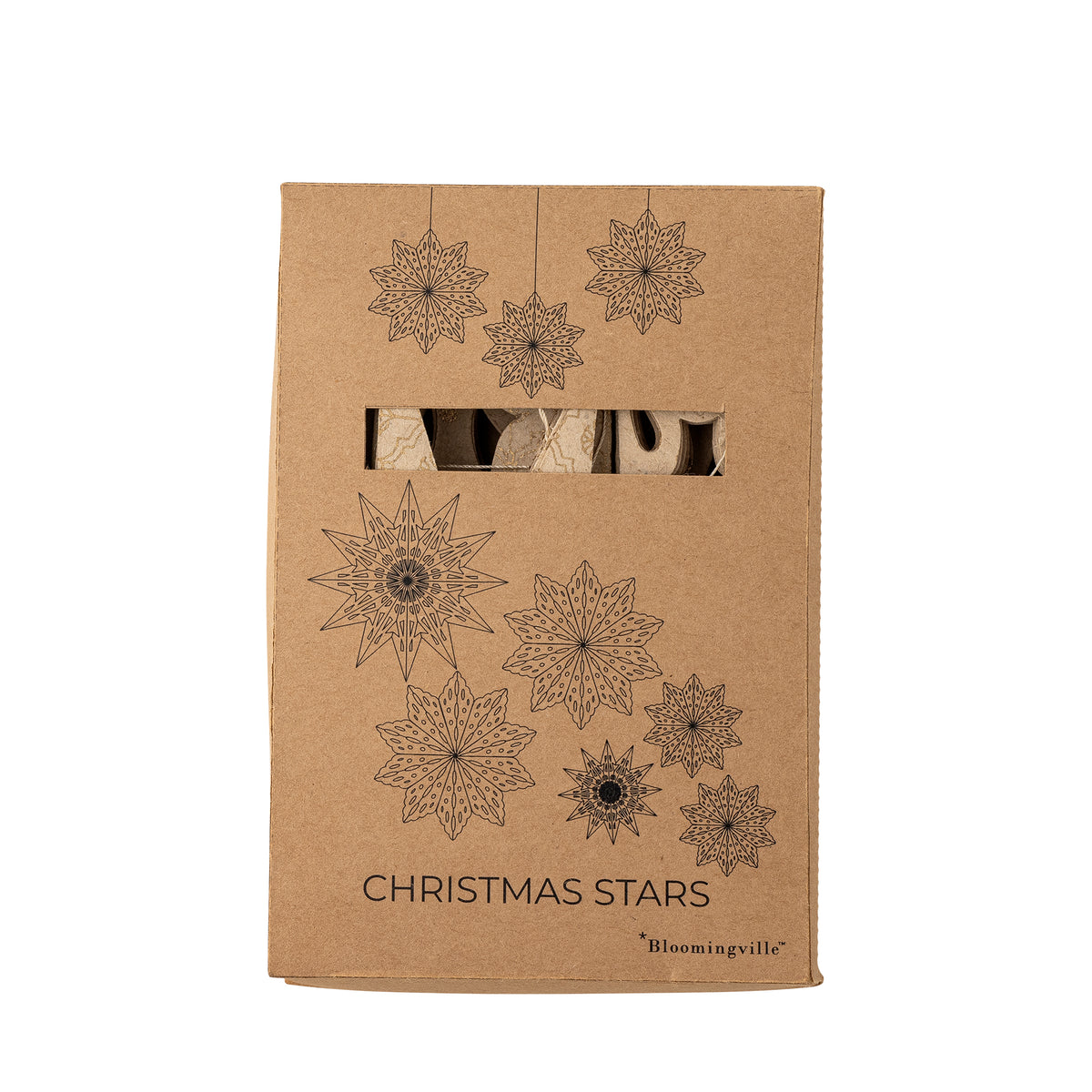 Paper Star Ornament D15-30cm