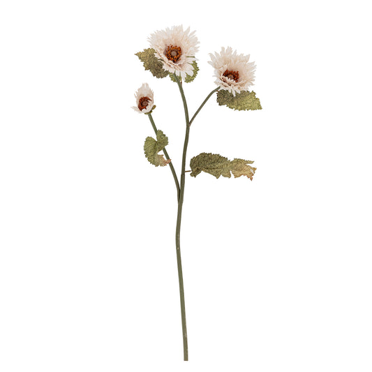 Chrysanthemum Stem in White