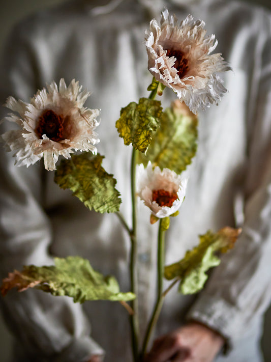 Chrysanthemum Stem in White