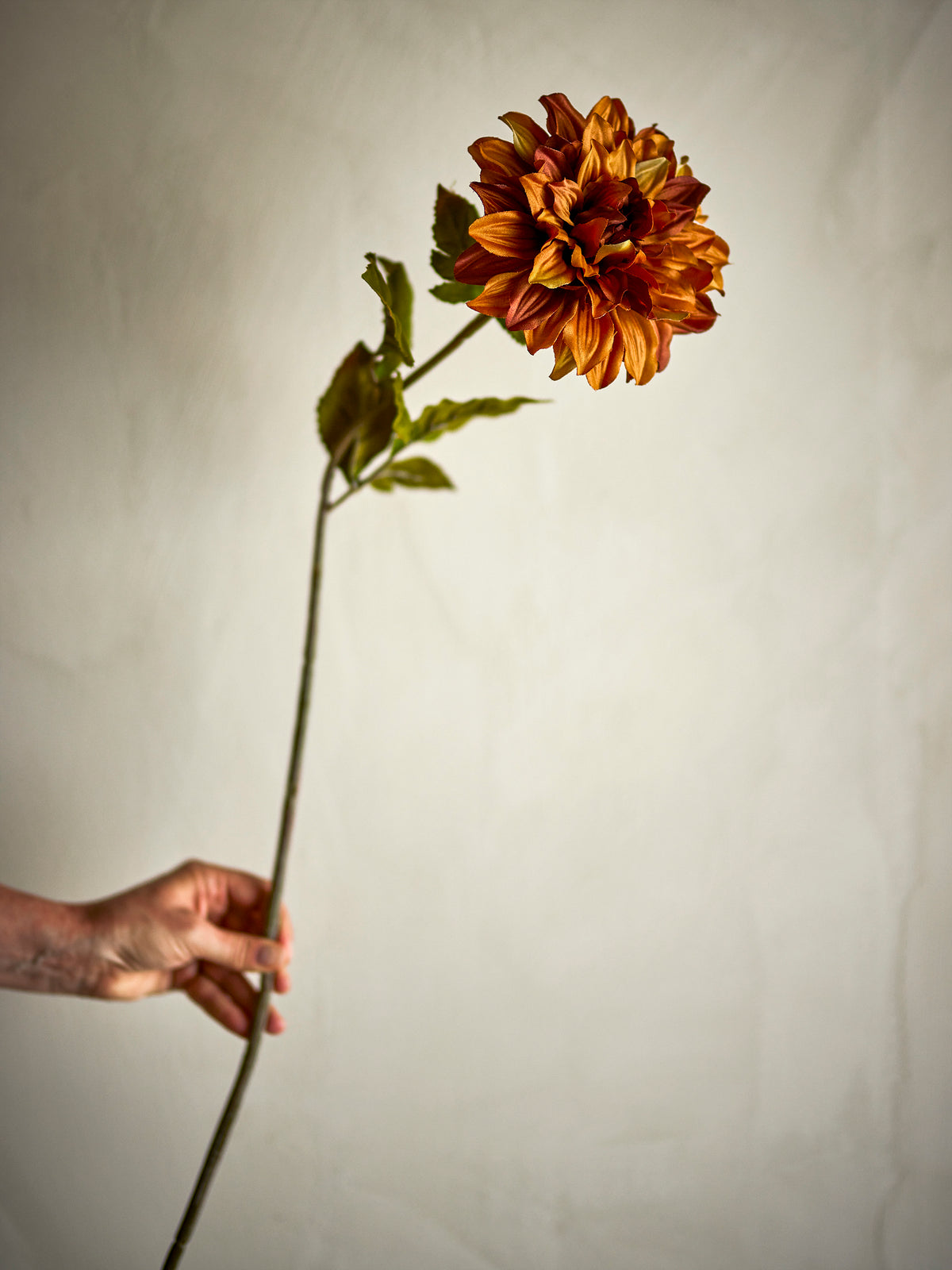 Chrysantemum Stem (D14cm head) Orange