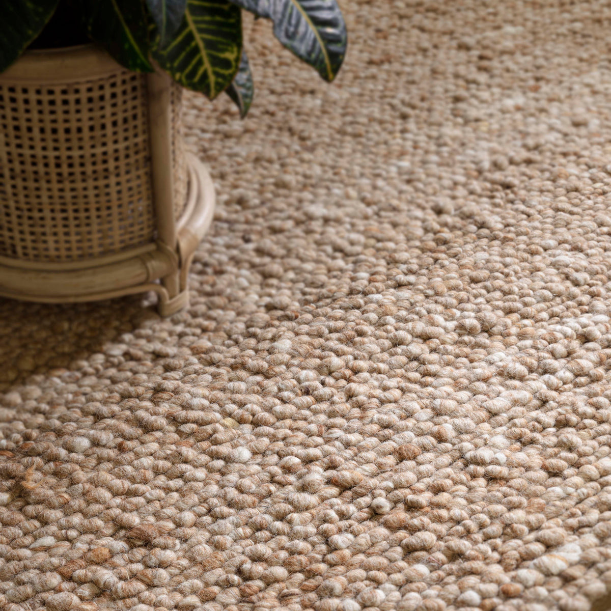 Adler Rug (Honey)