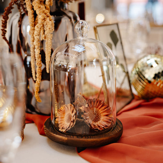 Small Wooden Base Glass Cloche Dome