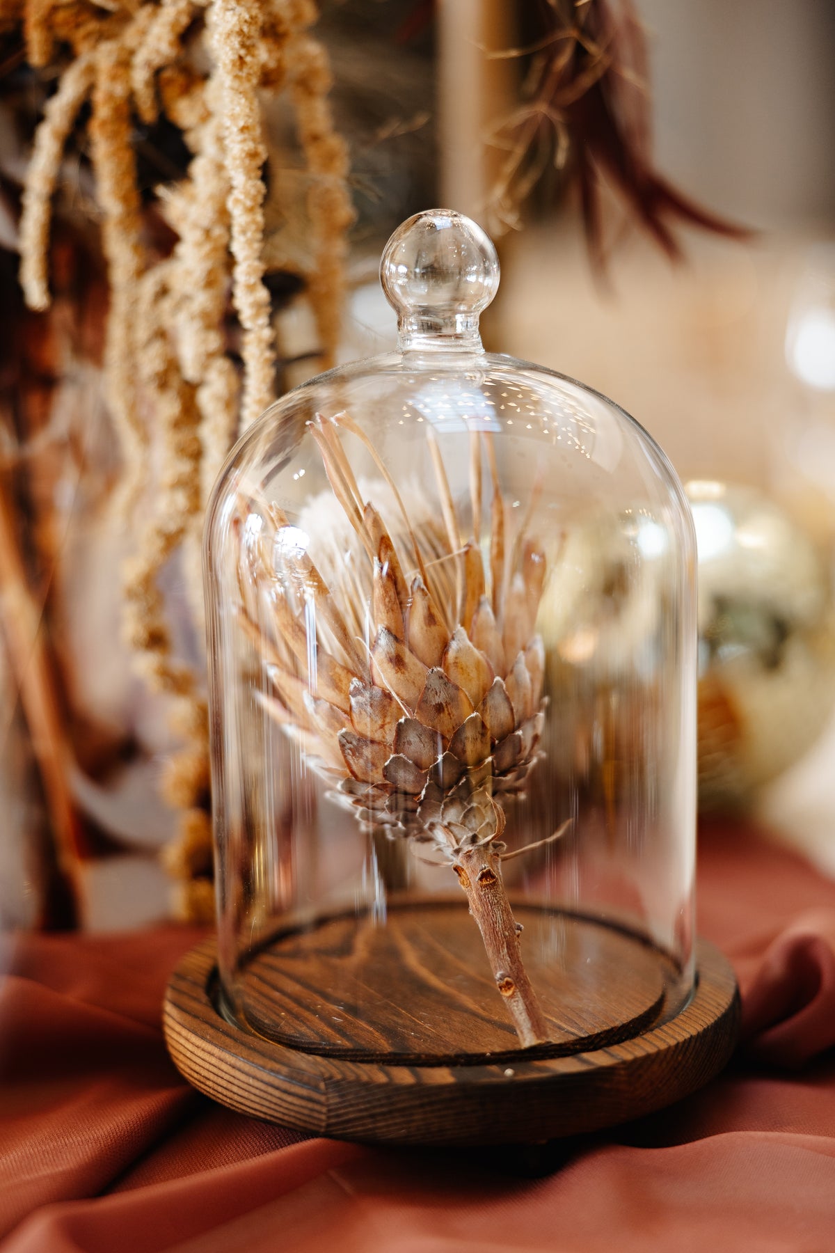 Small Wooden Base Glass Cloche Dome
