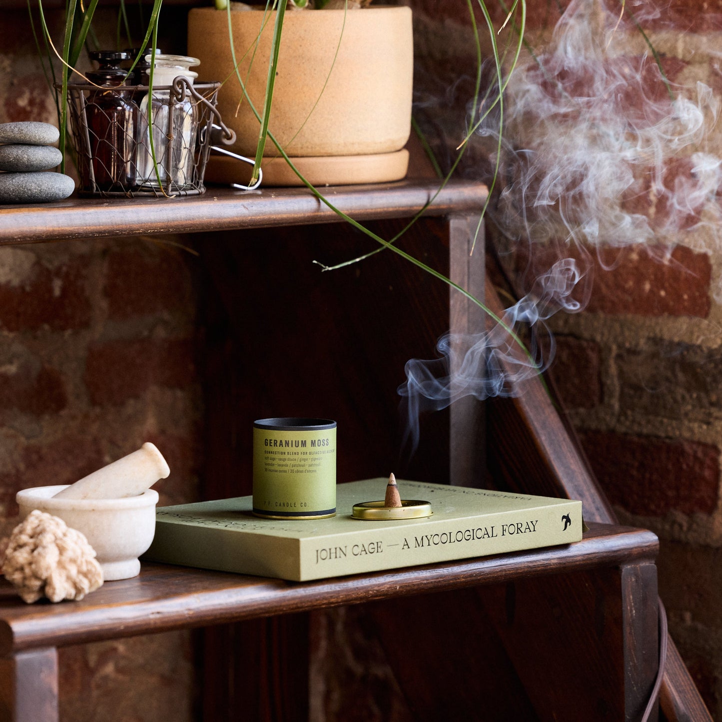 Alchemy Incense Cones (Geranium Moss)