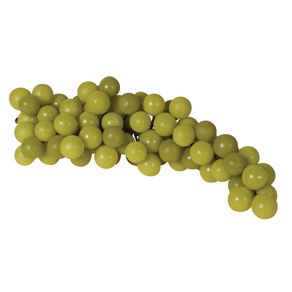 Real Feel Bunch of Green Grapes