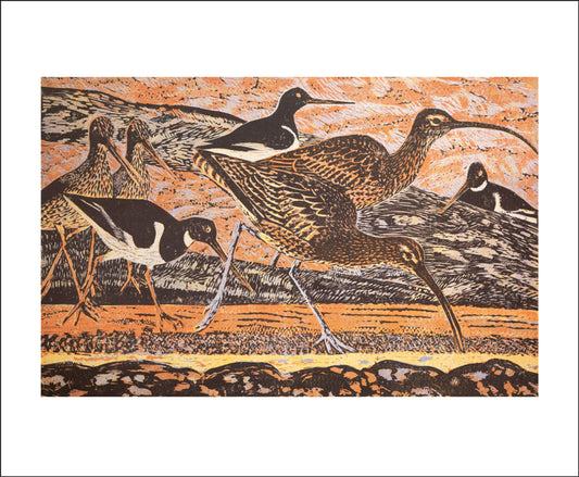 Curlew & Oystercatchers - Birthday Card