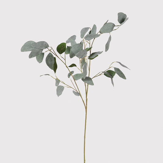Silver Dollar Eucalyptus Spray