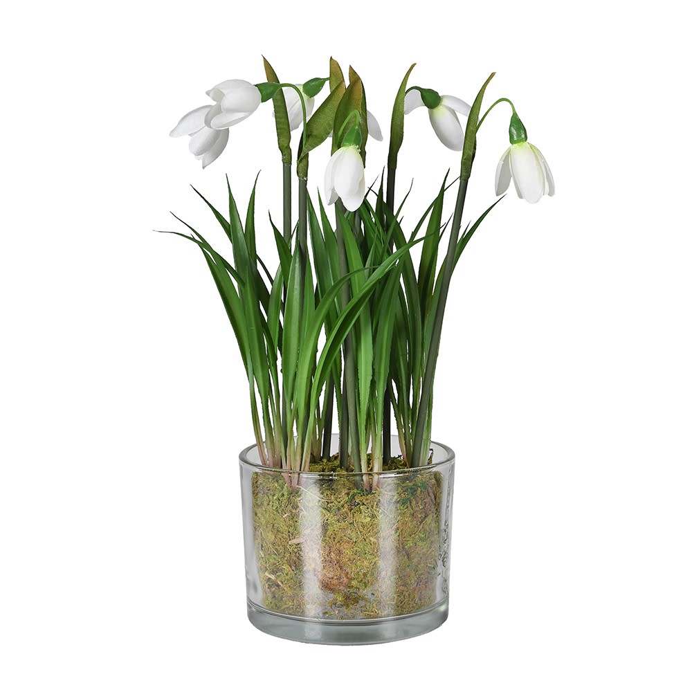 Snowdrops in Glass Pot H26cm