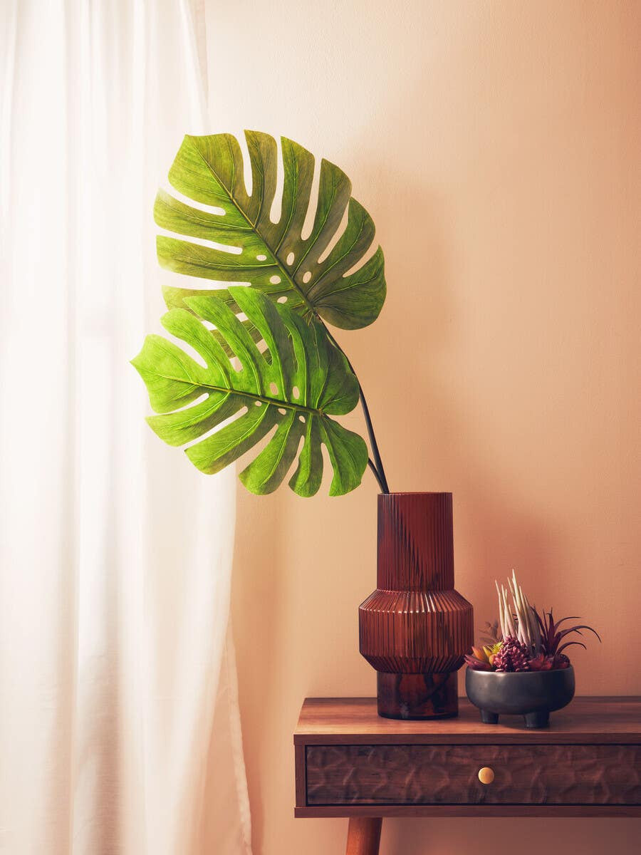 Monstera Palm Stem