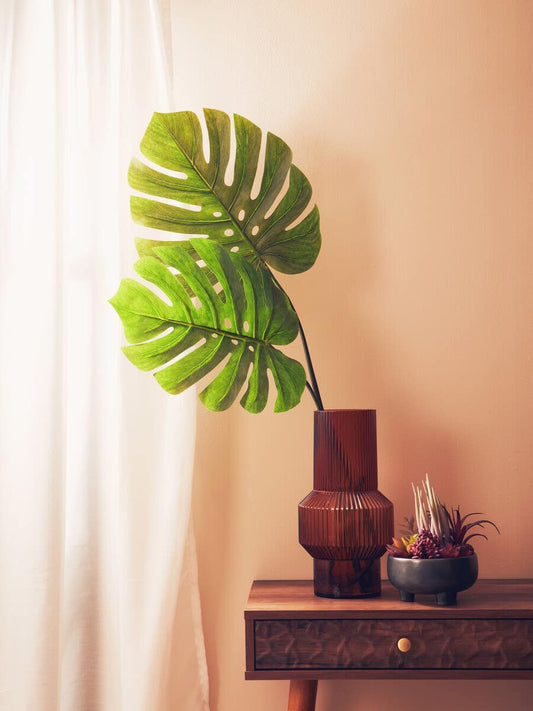 Monstera Palm Stem