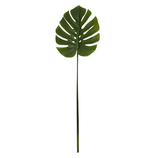 Monstera Palm Stem