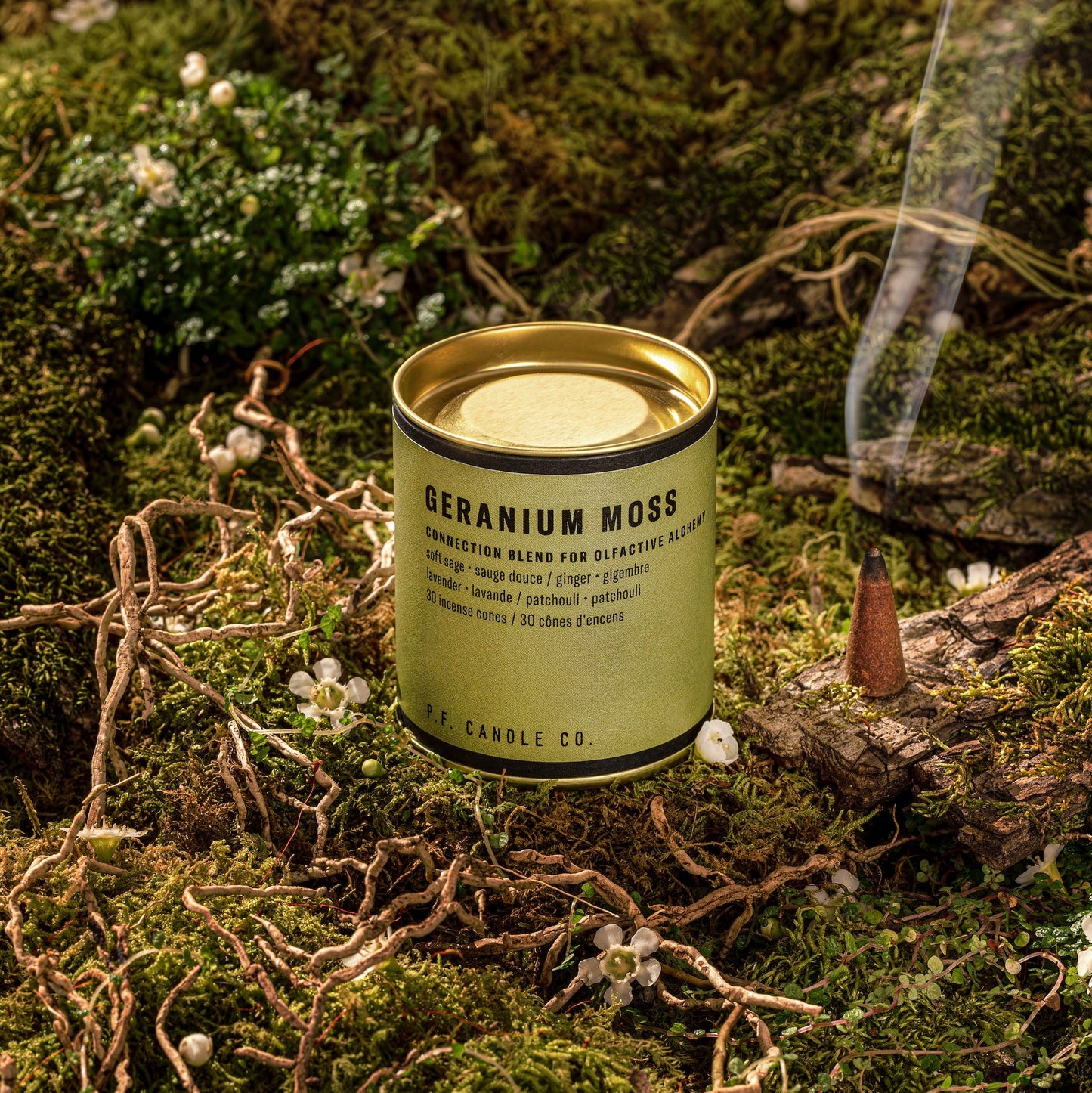 Alchemy Incense Cones (Geranium Moss)
