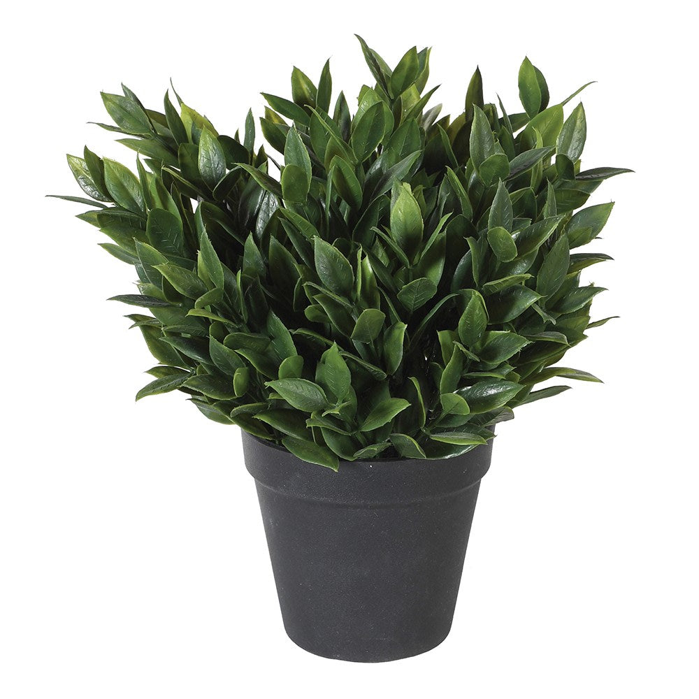Dwarf Bay Faux Plant