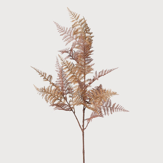 Auburn Bracken Spray