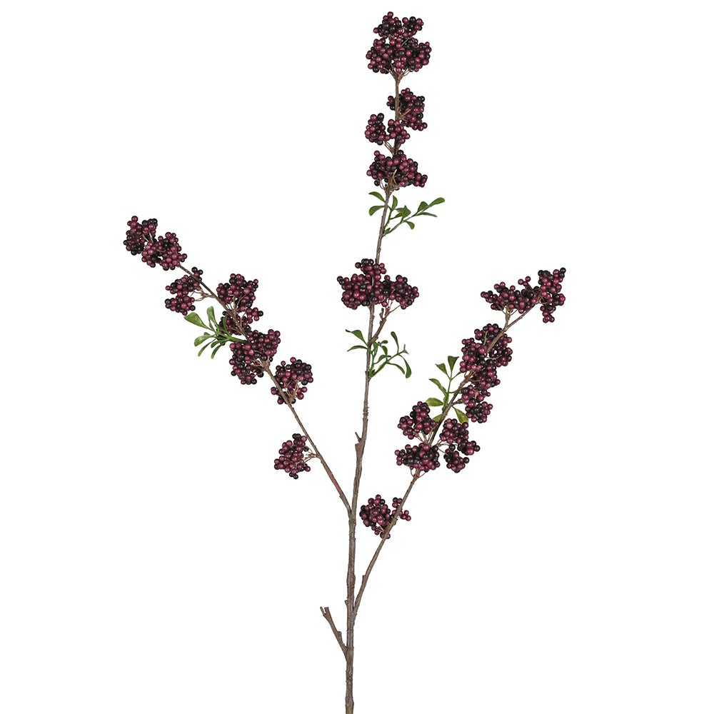 Burgundy Berry Stem